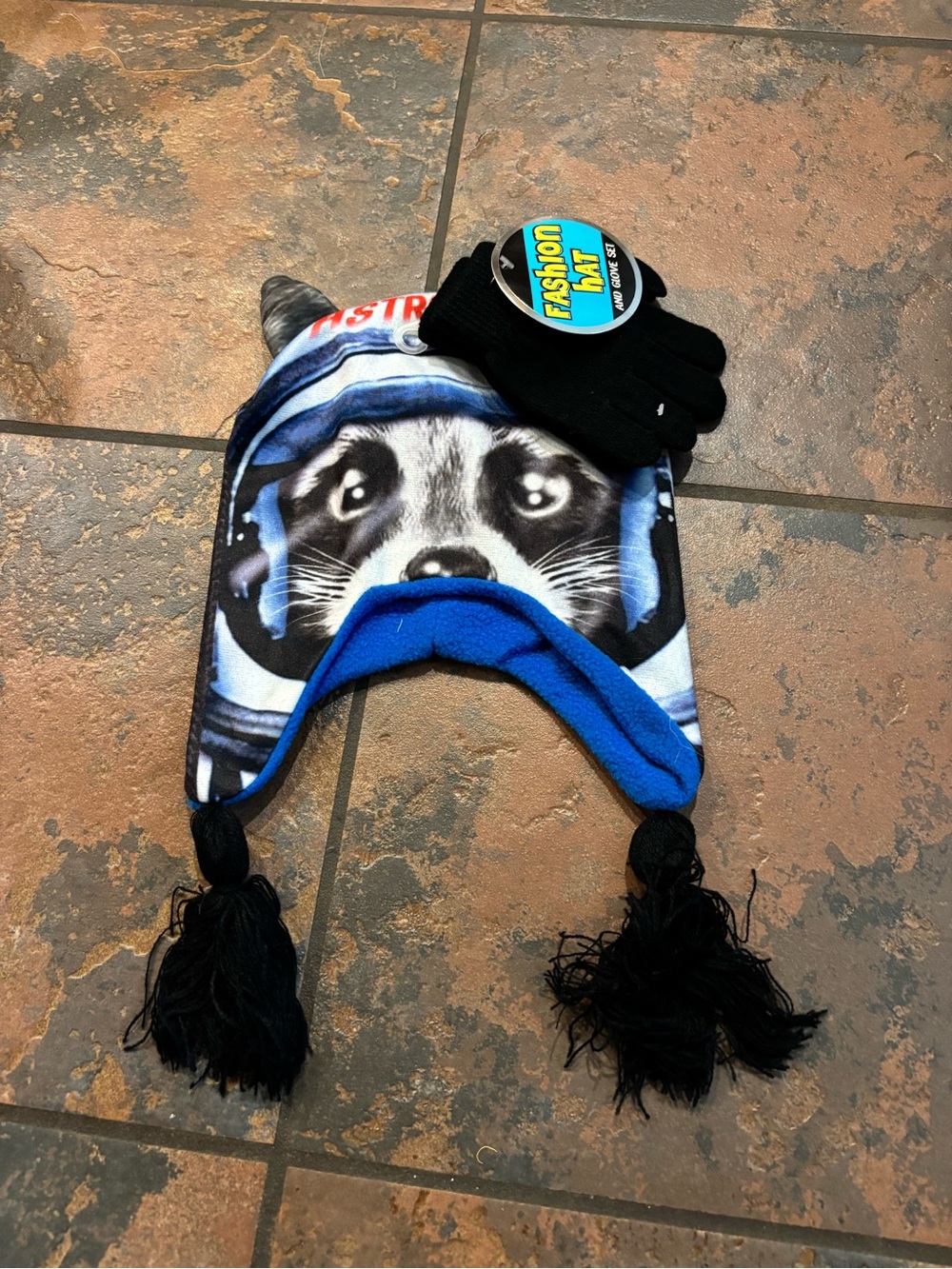 Kids Blue Raccoon Earflap Hat with Black Gloves
